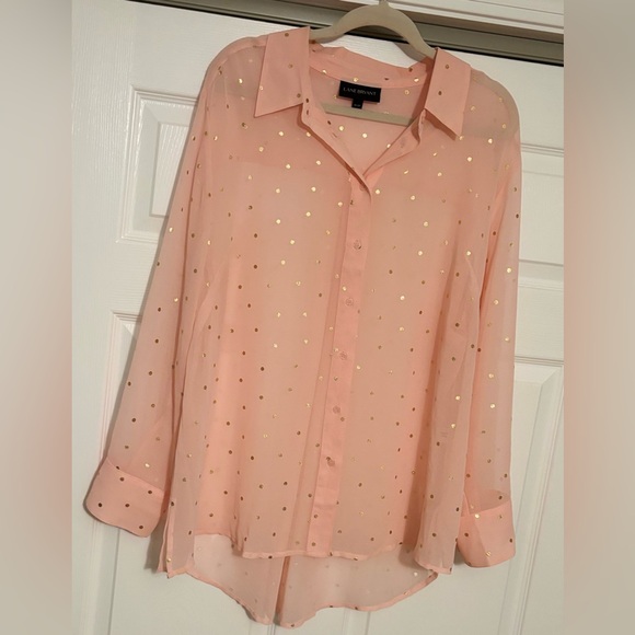 Lane Bryant Sheet Button Down Blouse - Picture 1 of 3